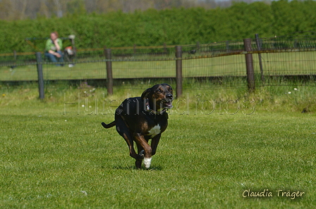 Jederhundrennen / Bild 367 von 488 / 01.05.2016 13:59 / DSC_0223.JPG