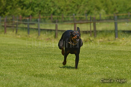 Jederhundrennen / Bild 372 von 488 / 01.05.2016 14:00 / DSC_0246.JPG