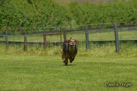 Jederhundrennen / Bild 380 von 488 / 01.05.2016 14:04 / DSC_0303.JPG