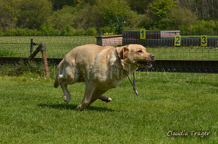 Jederhundrennen / Bild 384 von 488 / 01.05.2016 14:08 / DSC_0345.JPG