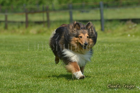 Jederhundrennen / Bild 390 von 488 / 01.05.2016 14:11 / DSC_0387.JPG