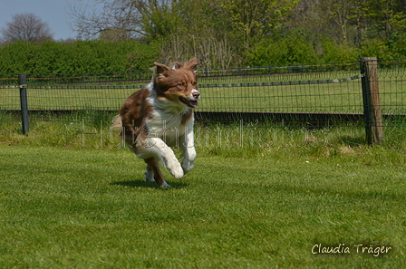 Jederhundrennen / Bild 401 von 488 / 01.05.2016 14:17 / DSC_0463.JPG