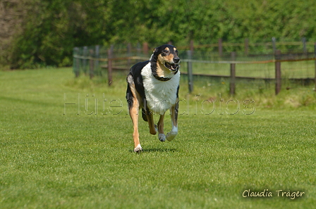 Jederhundrennen / Bild 409 von 488 / 01.05.2016 14:19 / DSC_0481.JPG