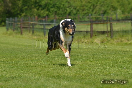 Jederhundrennen / Bild 410 von 488 / 01.05.2016 14:19 / DSC_0482.JPG