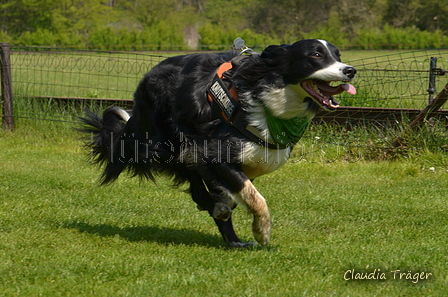 Jederhundrennen / Bild 412 von 488 / 01.05.2016 14:20 / DSC_0492.JPG