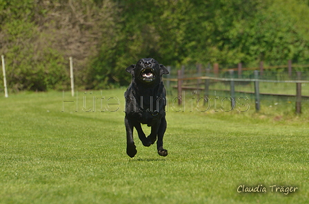 Jederhundrennen / Bild 413 von 488 / 01.05.2016 14:21 / DSC_0496.JPG