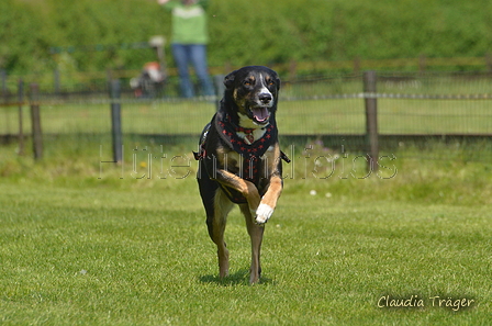 Jederhundrennen / Bild 416 von 488 / 01.05.2016 14:23 / DSC_0520.JPG