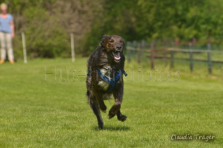 Jederhundrennen / Bild 425 von 488 / 01.05.2016 14:26 / DSC_0583.JPG