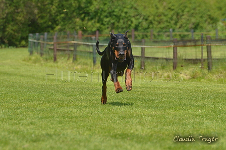 Jederhundrennen / Bild 428 von 488 / 01.05.2016 14:27 / DSC_0594.JPG