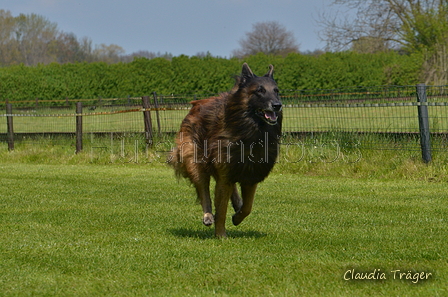 Jederhundrennen / Bild 430 von 488 / 01.05.2016 14:28 / DSC_0608.JPG