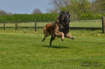 Jederhundrennen / Bild 431 von 488 / 01.05.2016 14:28 / DSC_0609.JPG