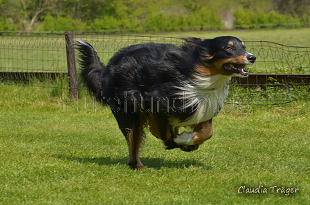 Jederhundrennen / Bild 439 von 488 / 01.05.2016 14:30 / DSC_0663.JPG