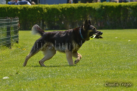 Jederhundrennen / Bild 442 von 488 / 01.05.2016 14:31 / DSC_0676.JPG