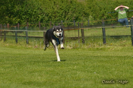 Jederhundrennen / Bild 452 von 488 / 01.05.2016 14:34 / DSC_0741.JPG