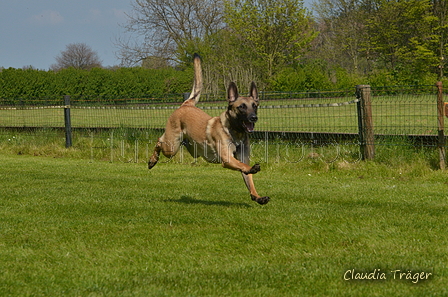 Jederhundrennen / Bild 455 von 488 / 01.05.2016 14:35 / DSC_0754.JPG