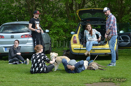 Jederhundrennen / Bild 487 von 488 / 01.05.2016 14:56 / DSC_0966.JPG