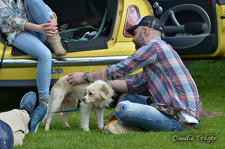 Jederhundrennen / Bild 488 von 488 / 01.05.2016 14:57 / DSC_0970.JPG