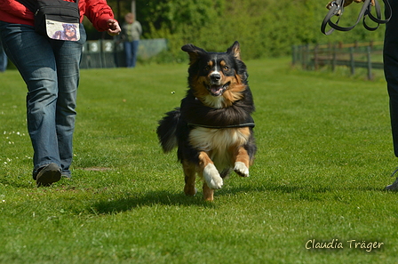 Jederhundrennen / Bild 102 von 516 / 01.05.2017 11:21 / DSC_7075.JPG