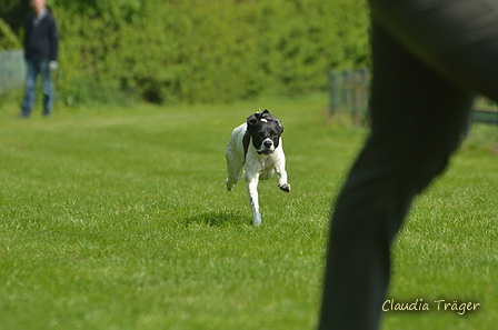 Jederhundrennen / Bild 177 von 516 / 01.05.2017 11:47 / DSC_7378.JPG