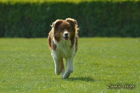 Jederhundrennen / Bild 197 von 516 / 01.05.2017 11:55 / DSC_7480.JPG