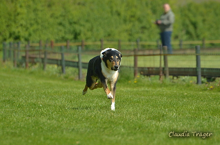 Jederhundrennen / Bild 254 von 516 / 01.05.2017 12:17 / DSC_7731.JPG