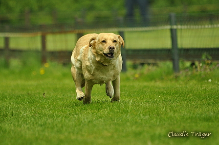 Jederhundrennen / Bild 377 von 516 / 01.05.2017 14:33 / DSC_2154.JPG