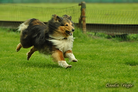 Jederhundrennen / Bild 415 von 516 / 01.05.2017 14:53 / DSC_2361.JPG