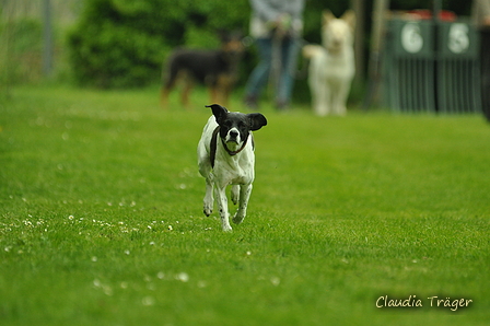 Jederhundrennen / Bild 511 von 516 / 01.05.2017 15:30 / DSC_2780.JPG