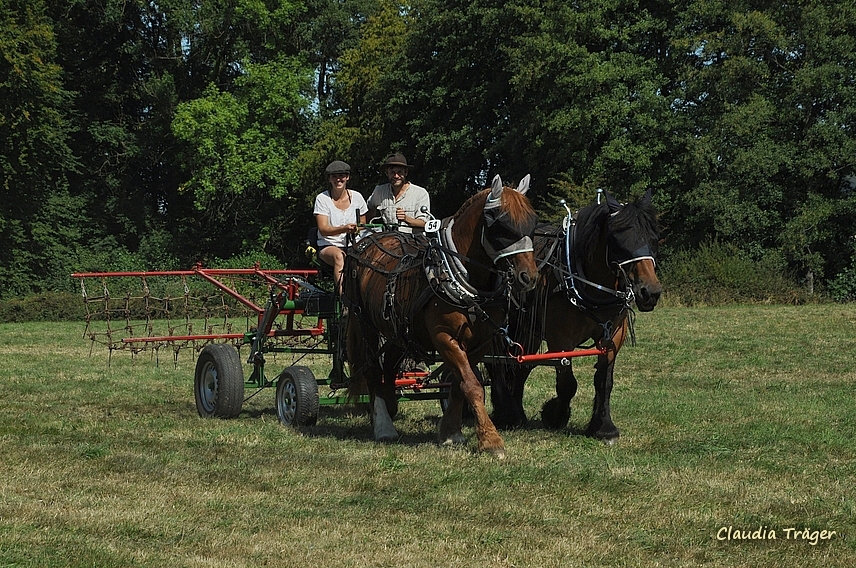 Pferdestark / Bild 47 von 76 / 24.08.2019 12:10 / DSC_2352.JPG