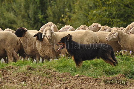 VDL Bundeshüten 2015 / Bild 8 von 169 / 12.09.2015 12:01 / DSC_6771.JPG