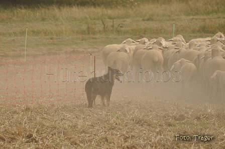 VDL Bundeshüten 2015 / Bild 10 von 169 / 12.09.2015 12:03 / DSC_6835.JPG