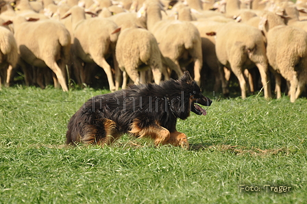 VDL Bundeshüten 2015 / Bild 20 von 169 / 12.09.2015 14:00 / DSC_7148.JPG