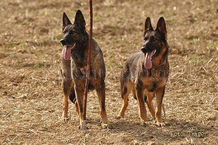 VDL Bundeshüten 2015 / Bild 35 von 169 / 12.09.2015 14:54 / DSC_7684.JPG