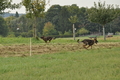 VDL Bundeshüten 2015 / Bild 46 von 169 / 12.09.2015 15:04 / DSC_7807.JPG