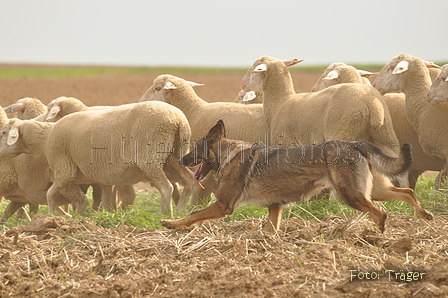 VDL Bundeshüten 2015 / Bild 59 von 169 / 12.09.2015 15:31 / DSC_8133.JPG