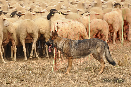 VDL Bundeshüten 2015 / Bild 62 von 169 / 12.09.2015 15:33 / DSC_8157.JPG