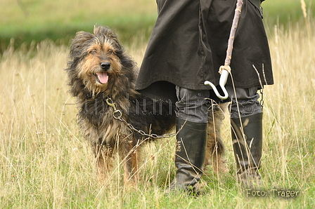 VDL Bundeshüten 2015 / Bild 72 von 169 / 12.09.2015 15:39 / DSC_8239.JPG