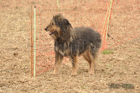 VDL Bundeshüten 2015 / Bild 77 von 169 / 12.09.2015 15:54 / DSC_8378.JPG