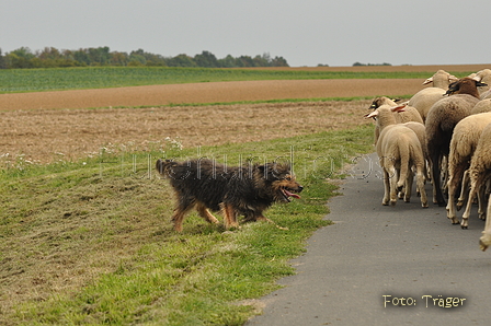 VDL Bundeshüten 2015 / Bild 89 von 169 / 12.09.2015 16:42 / DSC_8708.JPG