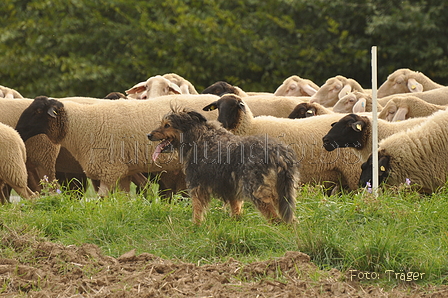 VDL Bundeshüten 2015 / Bild 92 von 169 / 12.09.2015 16:43 / DSC_8721.JPG