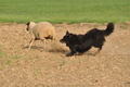 VDL Bundeshüten 2015 / Bild 103 von 169 / 13.09.2015 08:59 / DSC_8907.JPG