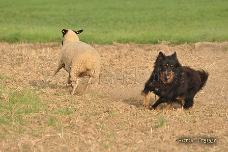 VDL Bundeshüten 2015 / Bild 104 von 169 / 13.09.2015 08:59 / DSC_8908.JPG