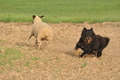 VDL Bundeshüten 2015 / Bild 104 von 169 / 13.09.2015 08:59 / DSC_8908.JPG