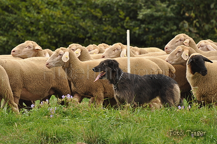 VDL Bundeshüten 2015 / Bild 150 von 169 / 13.09.2015 12:04 / DSC_0741.JPG