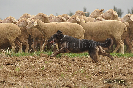 VDL Bundeshüten 2015 / Bild 152 von 169 / 13.09.2015 12:04 / DSC_0761.JPG