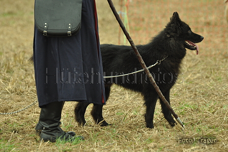 VDL Bundeshüten 2015 / Bild 162 von 169 / 13.09.2015 14:07 / DSC_1368.JPG